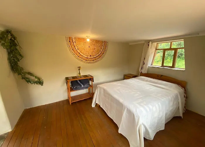 Wallpari Sonqo Hospedaje Medicina Temazcal