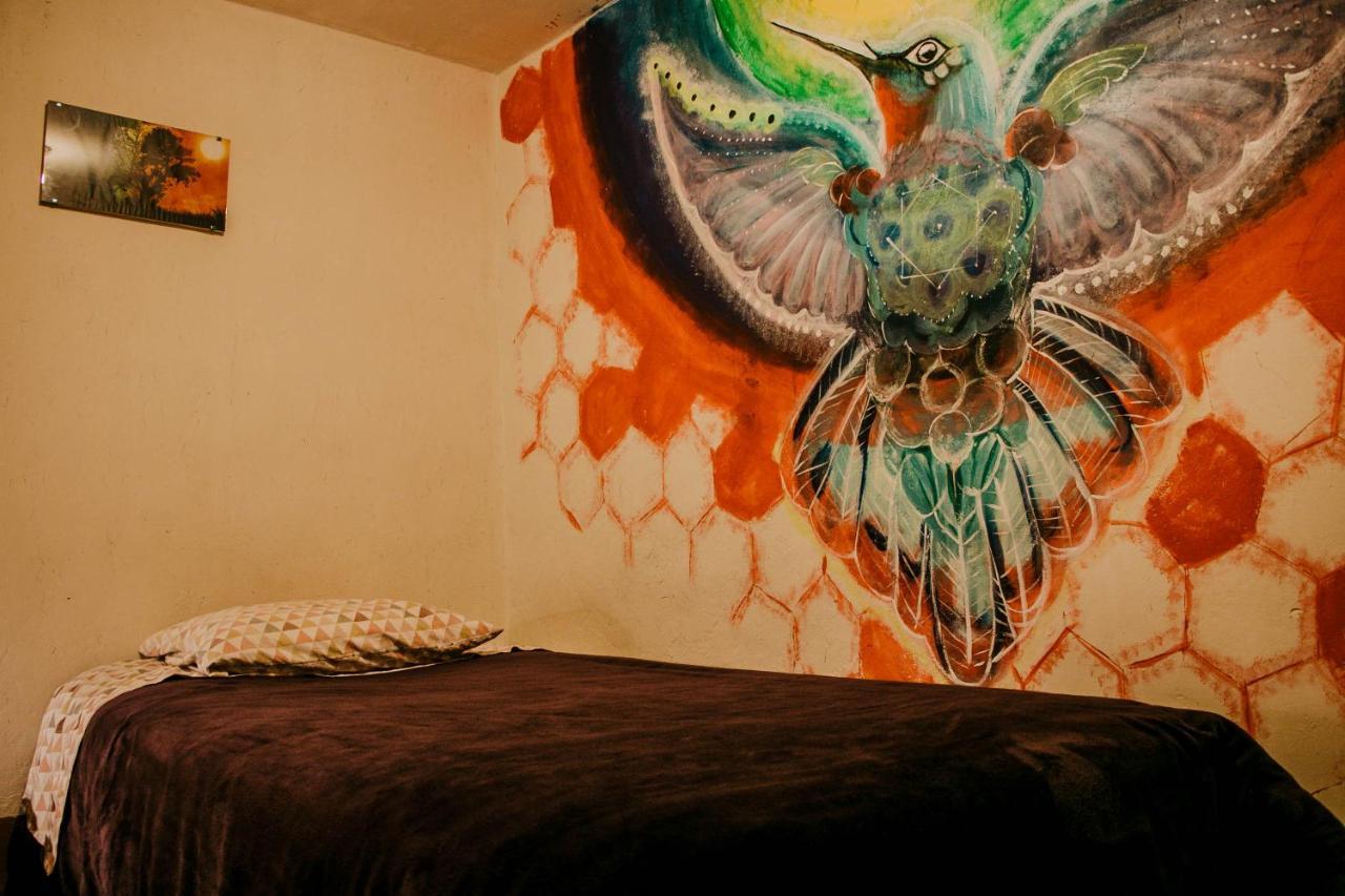 Lodge Wallpari Sonqo Medicina Temazcal Pisac