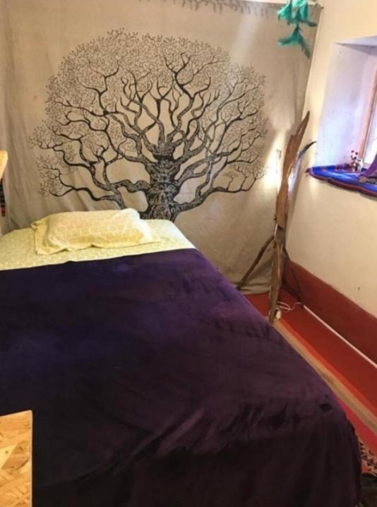 Wallpari Sonqo Medicina Temazcal Lodge